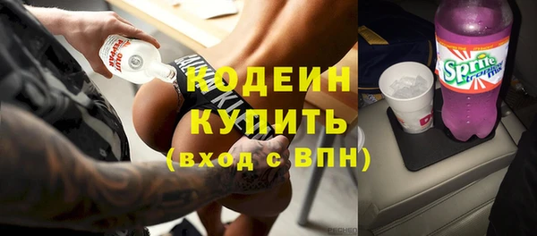 соль ск Арсеньев