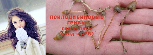 spice Аркадак