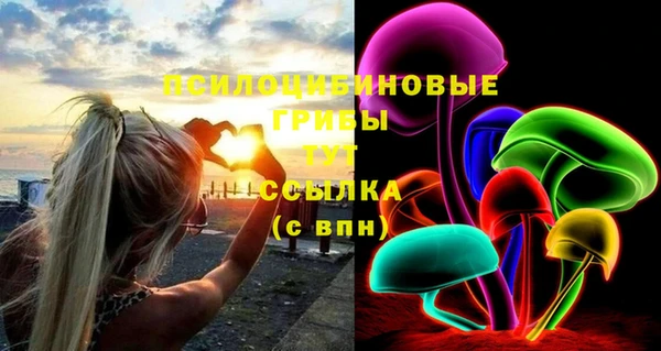 соль ск Арсеньев