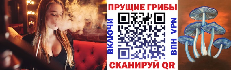 мега маркетплейс  Армянск  Псилоцибиновые грибы мухоморы 